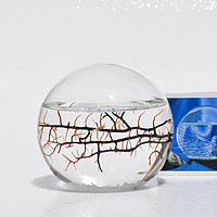 新鲜物：Ecosphere 生态球