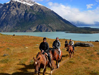 网友推荐：6PM官网 patagonia 巴塔哥尼亚男装