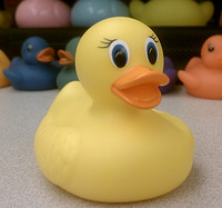 凑单品：munchkin 麦肯奇 White Hot  Duck Bath Toy 感温小黄鸭