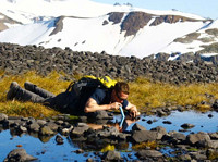 LifeStraw Personal Water Filter 生存净水吸管