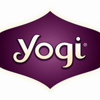 yogi