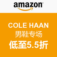 促销活动：Deal of the Day  COLE HAAN男鞋专场