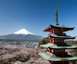 特价机票:上海-大阪+东京 6日往返含税机票(上