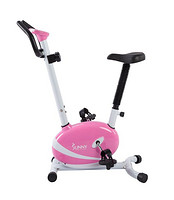 SUNNY HEALTH & FITNESS SF-P8200 静音磁控 家用坐式皮带健身车