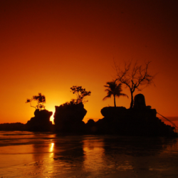 春节出发:上海-巴厘岛 6天4晚自由行(往返含税