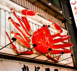 特价机票:杭州\/上海-日本大阪 5天往返 五星全日