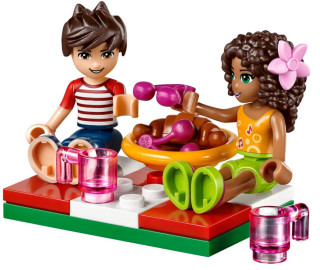 legofriends,linefriends lego乐高friends好朋友系列41097心湖城热气球