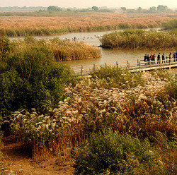 自由行:上海-东营 3天2晚自由行(往返机票+聚丰