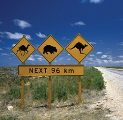 签证:澳大利亚个人签证套餐 全国领区可办理 6