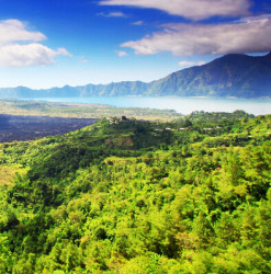 特价机票:全国联运 上海出发 巴厘岛 7天往返含