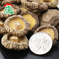 裕国大洪山 金钱菇 500g