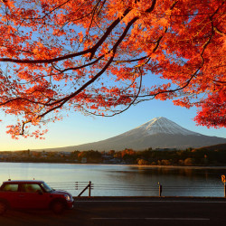 特价机票:上海-东京 5日往返含税机票 6月2日出