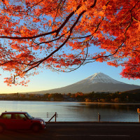 特价机票:全国联运 长沙出发 长沙-洛杉矶 13天