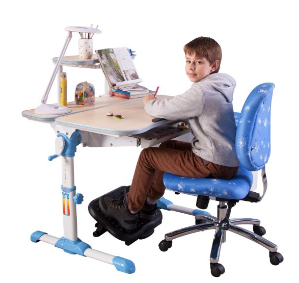 心家宜 人体工学可升降学习桌椅组合套装 M101L+M204L