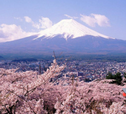 特价机票:香港-东京 5天往返含税机票 香港航空