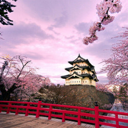 特价机票:上海-大阪+高松 7日往返含税机票(大