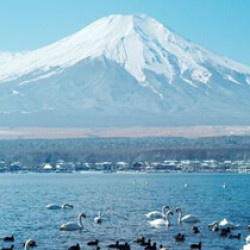 签证:日本个人旅游签证 上海领区 无需机酒订单