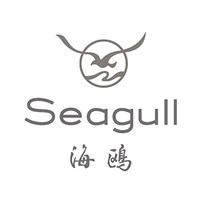 Seagull/海鸥相机