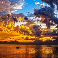 特价机票:广州\/大连-上海 6日往返含税机票 399