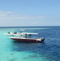 特价机票:深圳-沙巴+新加坡 6天5夜自由行(往返