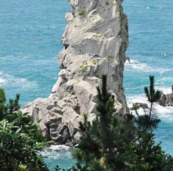 自由行:上海-济州岛 4天3夜自由行(往返含税机