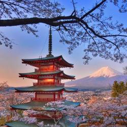 日本三年多次往返旅游签证(北京领区) 199元_