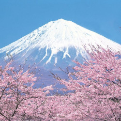 上海至日本静冈6日往返含税机票 中秋班期 79