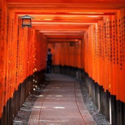 广州领区:康辉国旅 日本自由行个人旅游签证加