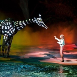 当地玩乐:澳门新濠天地水舞间表演B区门票(赠