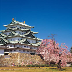 特价机票:北京-日本东京\/大阪\/名古屋5-6日往返