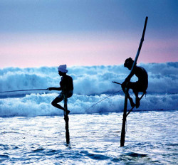 特价机票:北京往返斯里兰卡7-9天含税机票 含国