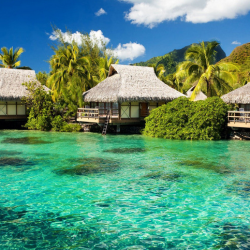 特价机票:重庆直飞普吉岛7日往返含税机票 天