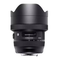 SONY 索尼 E 18-200mm F3.5-6.3 OSS LE 大变