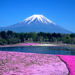 双11预售:杭州-日本静冈\/大阪\/冲绳 4-7天往返含