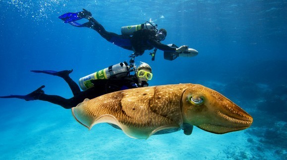 特价机票:重庆直飞普吉岛 7天往返含税机票 11