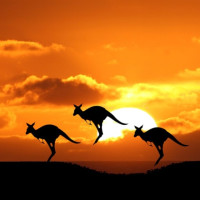 星唯一瑞缇娜岛 6天4晚自由行(往返含税机票+