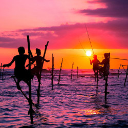 双11预售:香港至斯里兰卡+马尔代夫8天6晚自