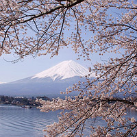 重庆领区：日本单次往返旅游签证