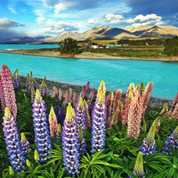 新西兰进入2K时代:深圳航空\/天津航空再出好价