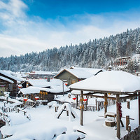 北国之冬：上海直飞哈尔滨6天自由行（可搭配亚布力滑雪+雪乡）