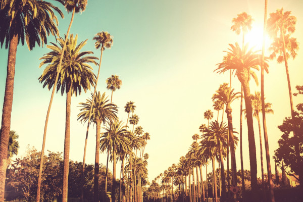 航线汇总:2017年全国新增洲际航线盘点及解析