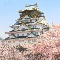 樱花季预售：上海-大阪 5天往返含税机票（赠WiFi）