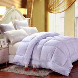 红瑞 双人柔丝亲肤保暖冬被 阳光假日 89元包邮