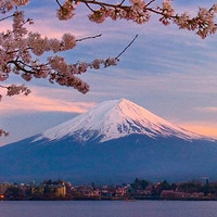 当地玩乐：日本富士山拼车一日游(五合目+河口湖+忍野八海+山中湖温泉)