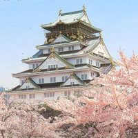 含樱花季班期：上海-大阪+名古屋 7天往返含税机票