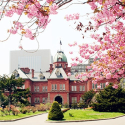 樱花季预售:上海-札幌 5天往返含税机票(赠WiF