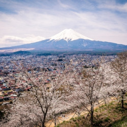 尾单机票:南京-日本静冈4\/5天往返机票 含签证