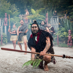 全国受理:新西兰个人旅游签证(无需面签) 单人