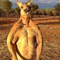 美签福利:上海-关岛 4天2晚自由行(美联航直飞