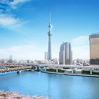 樱花季尾单：上海-大阪+东京 8天往返含税机票